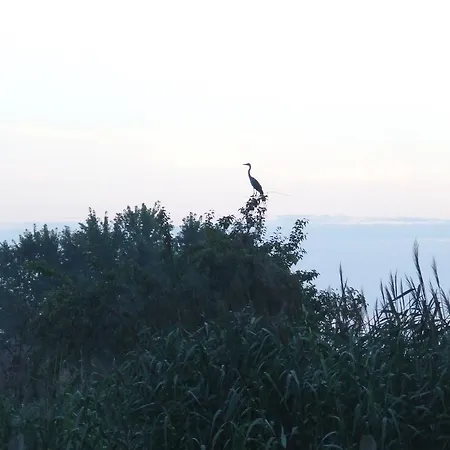 Πανσιόν Kapolnas Vendeghaz 3*